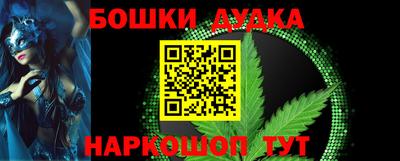 mdpv Новодвинск