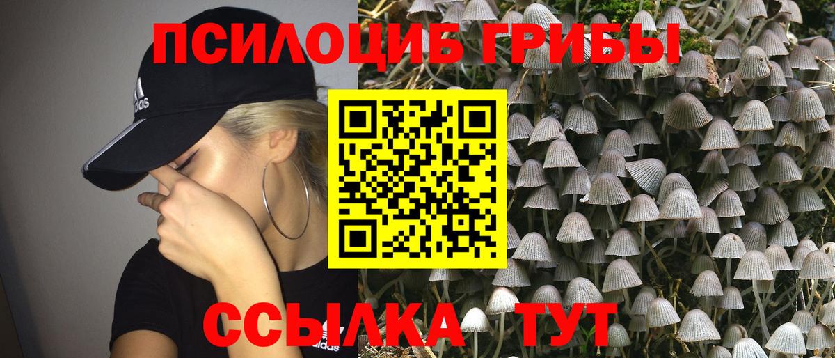Чайковский  Галлюциногенные грибы прущие грибы  Вход с VPN  Галлюциногенные грибы GOLDEN TEACHER 