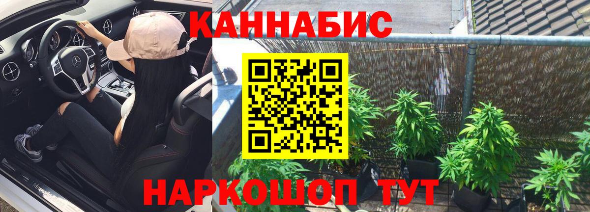 Канабис семена Чайковский